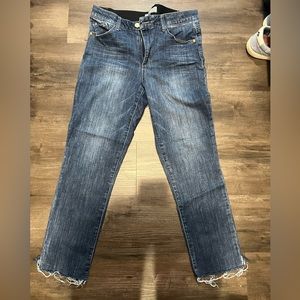 Wit and Wisdom Ab'Solution High Waist Raw Hem Skinny Crop Jeans